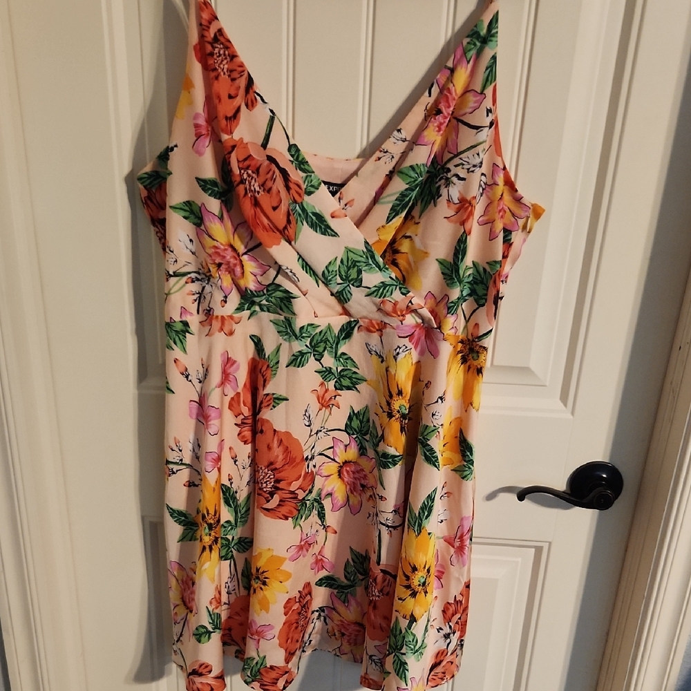 Express Floral V-Neck Dress